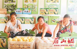 仁壽農(nóng)副產(chǎn)品 借力電商東風(fēng)，香飄海外市場