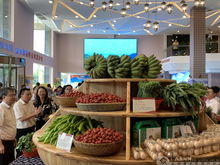 上林扶貧農(nóng)副產(chǎn)品展銷中心在南寧揭牌，助力鄉(xiāng)村振興新篇章